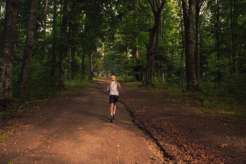 Runner pauses at a fork in a sunlit forest path, symbolizing the choice between a long-term SEO retainer and a short-term ...